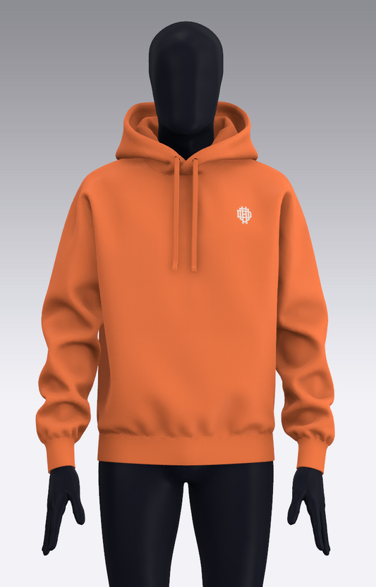 Ai COMPANION